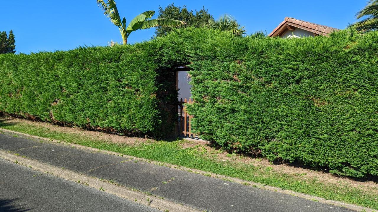 Guest House Au Milieu Des Palmiers Saint-Martin-de-Seignanx المظهر الخارجي الصورة